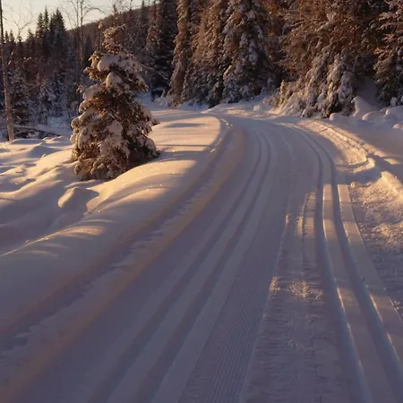 Fregn Ξενοδοχείο Ljørdal