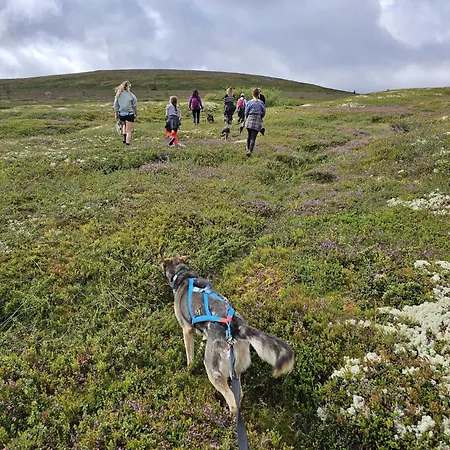 Fregn Ljordal